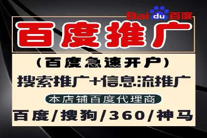 案例研究：关键词推广费用与ROI的关系